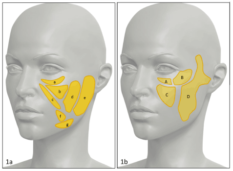 O Uso do Ácido Deoxicólico para o Afinamento Facial